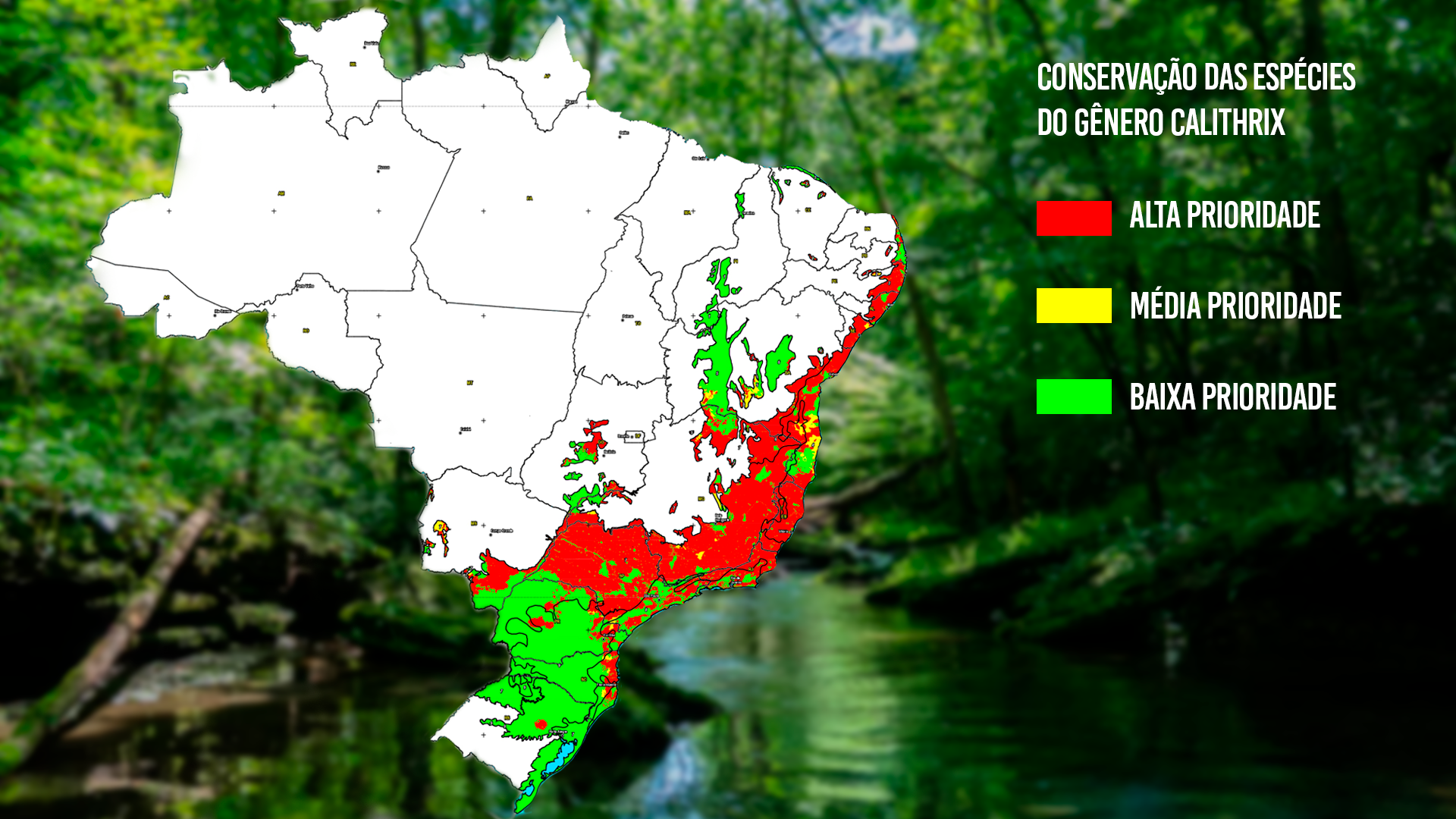 Arte com mapa do Brasil com prioridade de conservação