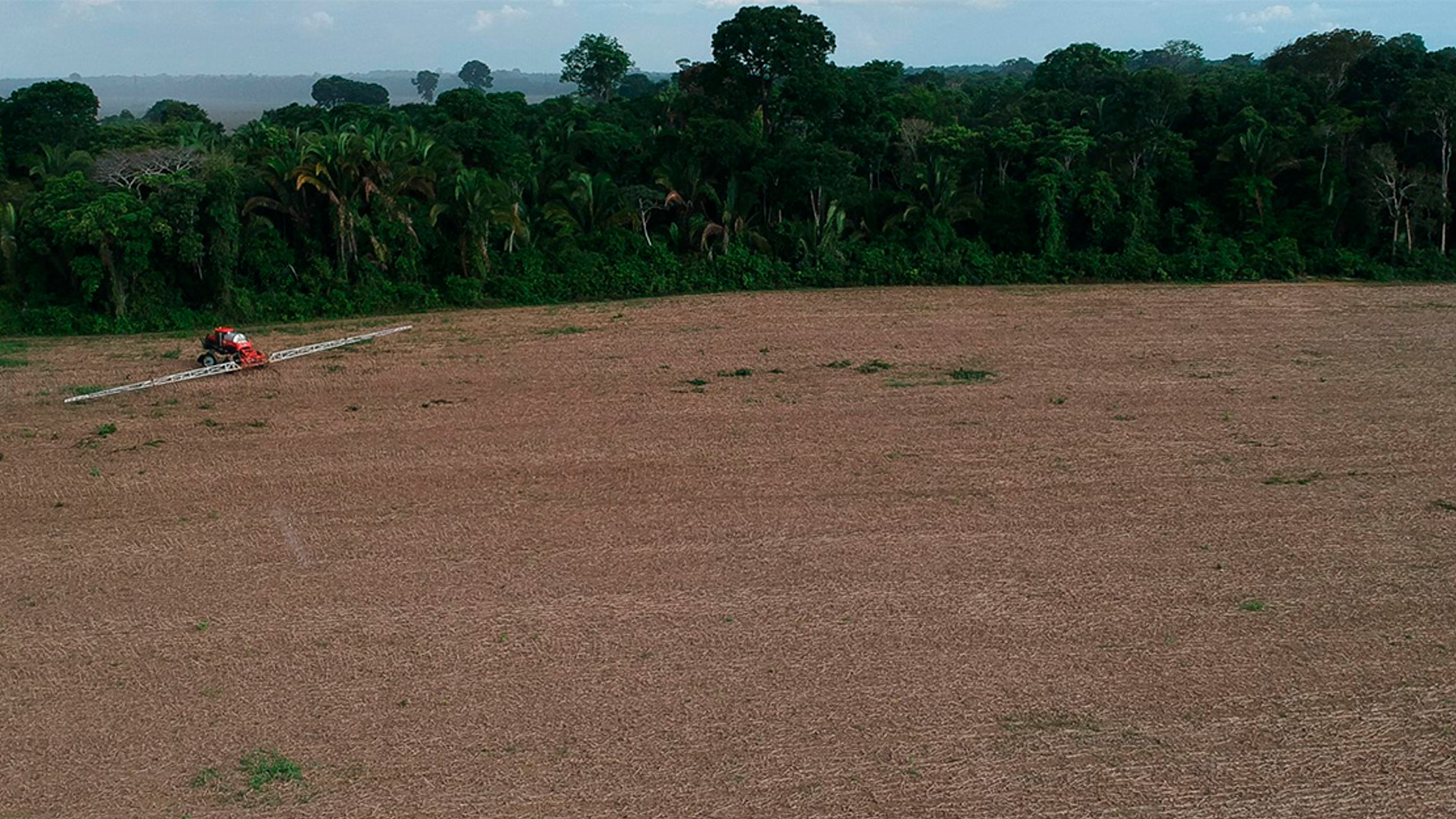 Imagem de uma área desmatada para a plantação de sojas